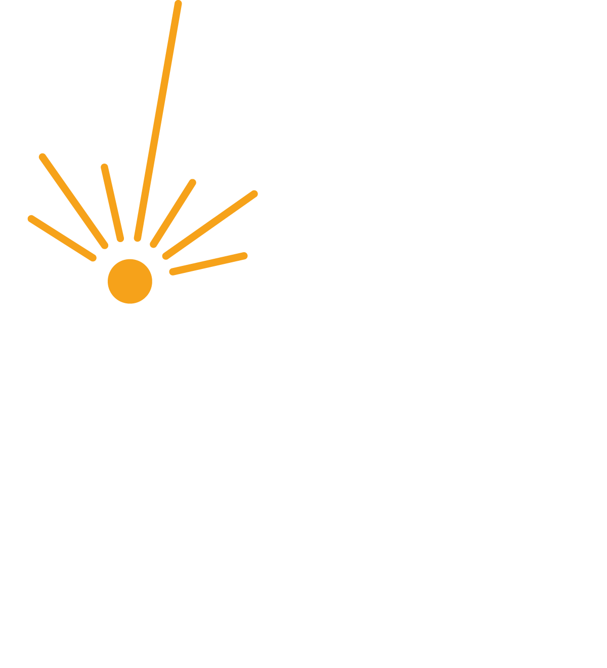 Simon's Craft
